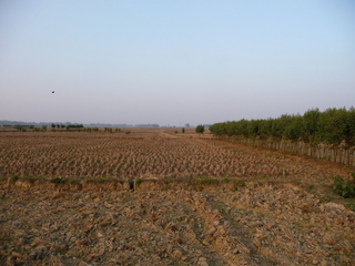 #1: From the confluence looking North