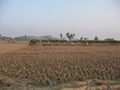 #2: From the confluence looking East