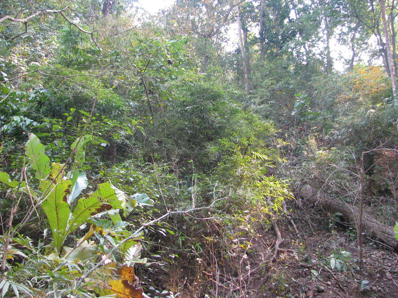 Confluence point from 50 meters below