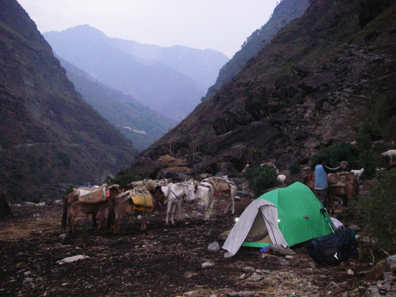 Our campsite in the mule pasture at Khaulighat.