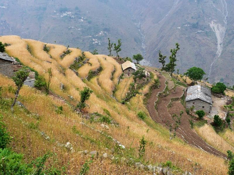 Terraced farmland typical of the area