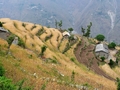 #8: Terraced farmland typical of the area