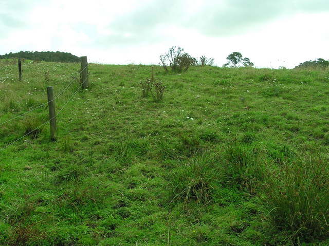 View West