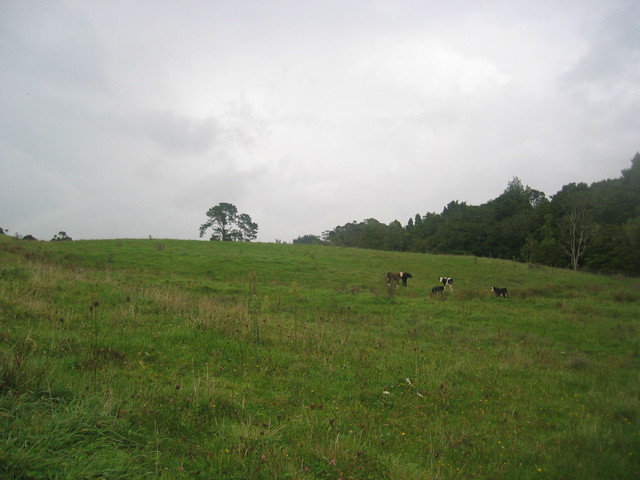 The Confluence - View to the West