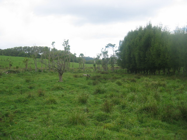 View to the East