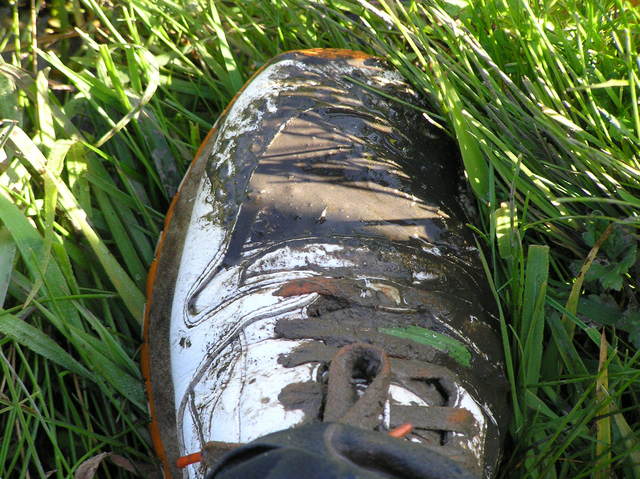 Muddy shoe and groundcover at the soggy confluence.