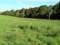 #7: View to the west-northwest from the confluence.