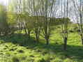 #8: View to the southeast from the confluence.