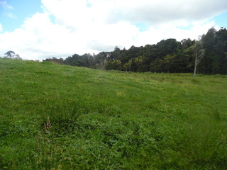 #1: Confluence point - looking north