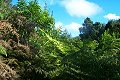 #2: Looking south. All the zeros are in the gorse bush.