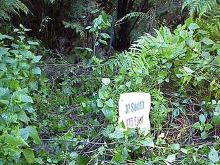 #1: Site of the confluence, in muddy clearing at the bottom of a ravine.