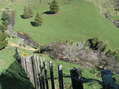 #6: Looking west down the steep fenceline from 38 South 175 East.