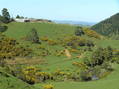 #8: View to the southwest from the confluence toward the Tasman Sea showing the nearest ranch house.