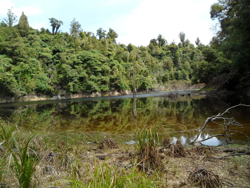 Lunch at Lake Hiwiroa