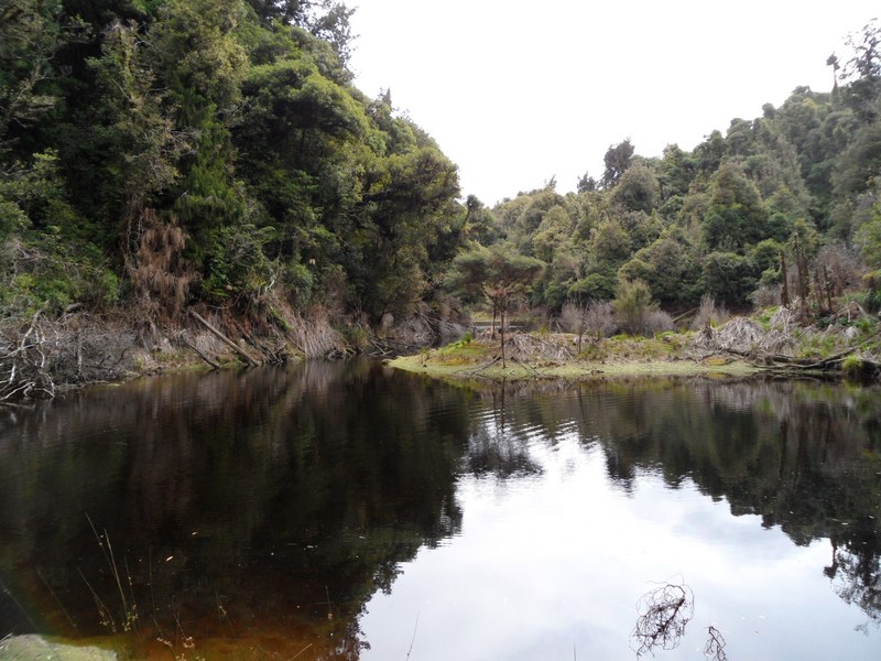 Arm of lake Hiwiroa and its steep sides