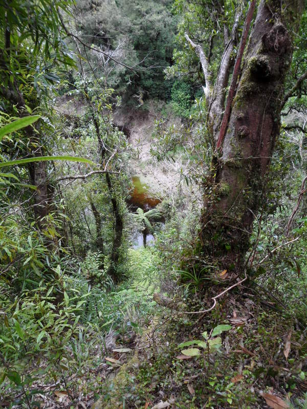 A long way back down to the lake