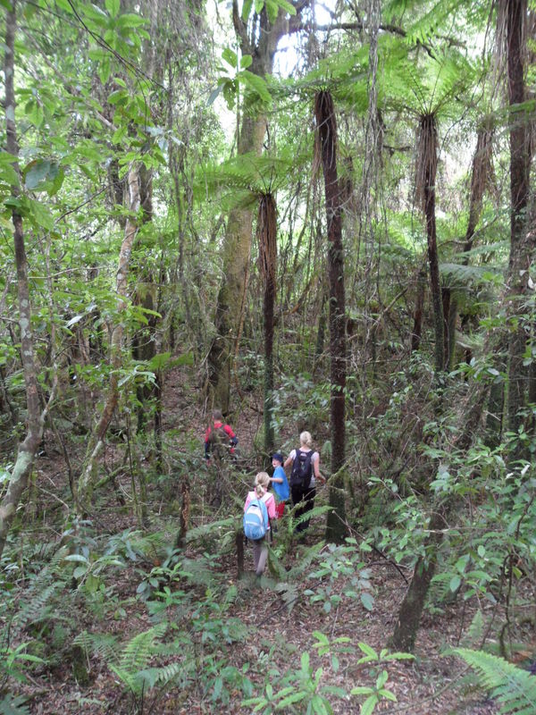 Bush bashing family, this was an easier part