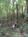 #9: Bush bashing family, this was an easier part