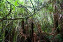 #3: View West