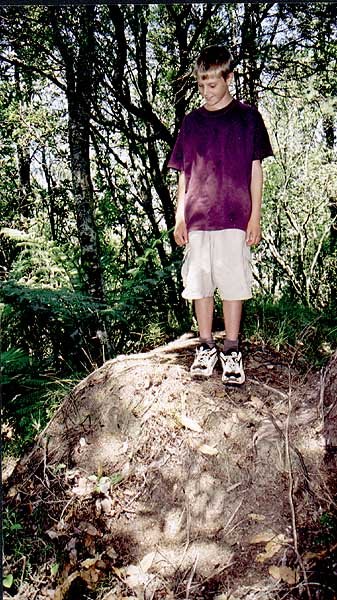 These earthworks are unmistakable evidence that a Maori Pa once stood on this site