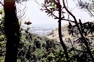 #1: The only hint of a view. Looking towards Whakatane and some offshore islands