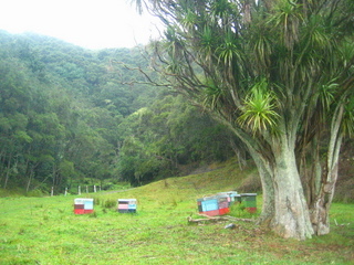 #1: Towards the Confluence which is on the Top of the Hill