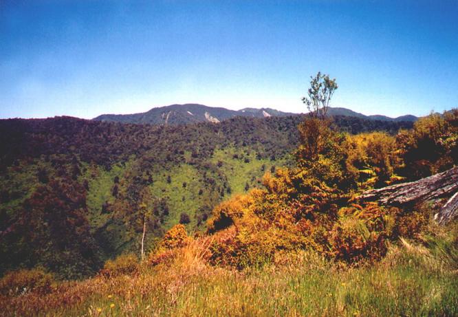 View west across confluence site (exact site is next to log in foreground).