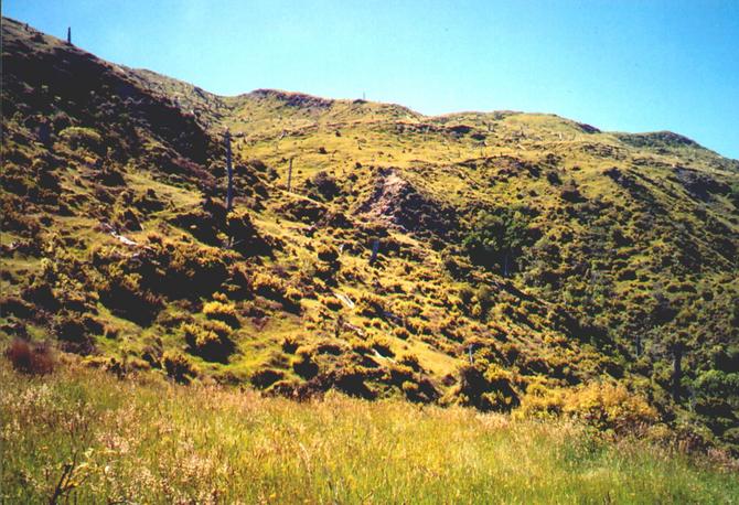 View east from confluence up towards ridgeline.