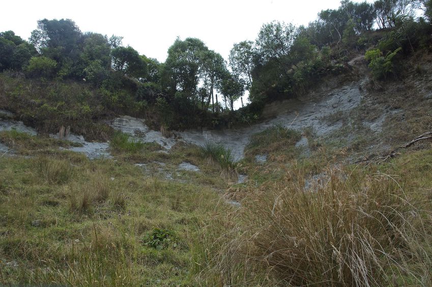 View North (up the steep hillside; you can see why the point is shaded on Google Earth)