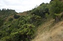 #8: The beautiful forested western rim of the valley where the confluence point lies. (I had to cross this rim on my return hike.)