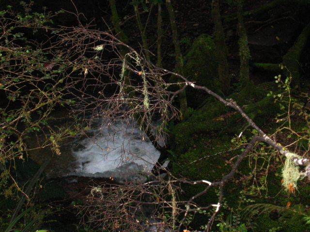 View from 92m towards the Confluence