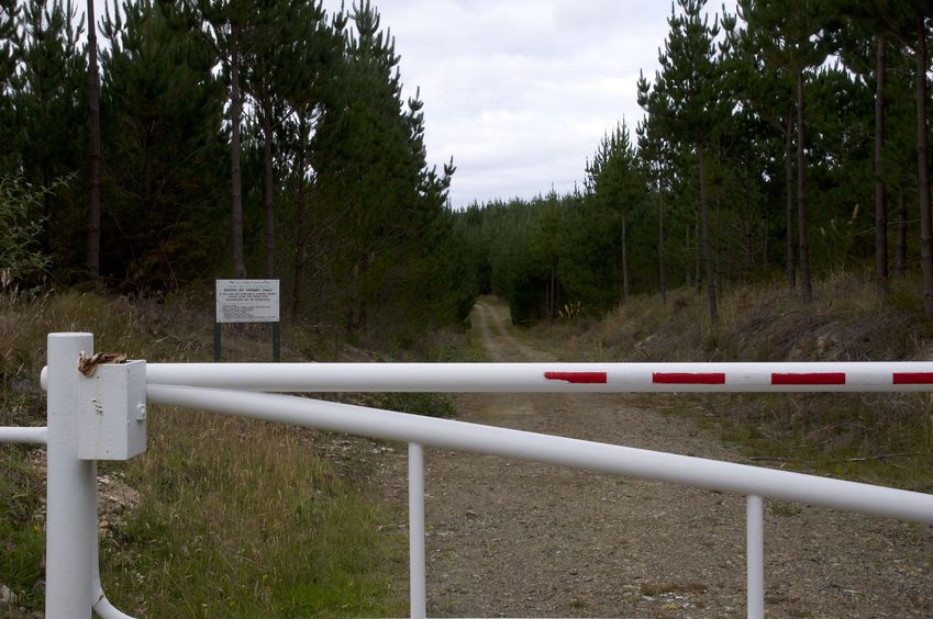 The locked forestry gate (with a "No Trespassing" sign), 2.75 km from the confluence point.