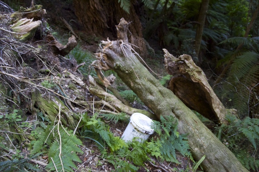 The confluence point lies on a steep hillside.  (The white plastic bucket is a 'geocache', left by a previous visitor.)