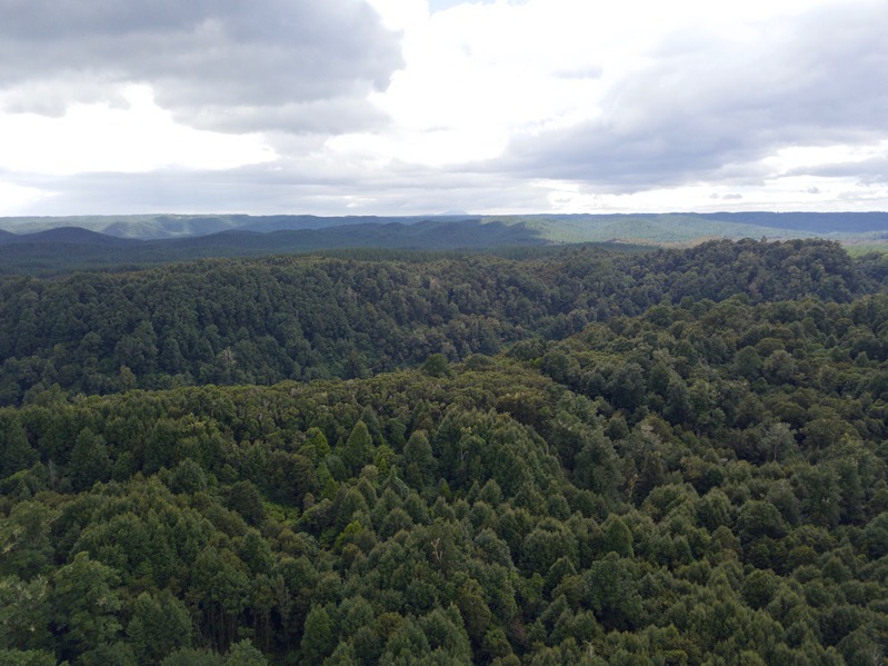 View North from about 100 m above the point