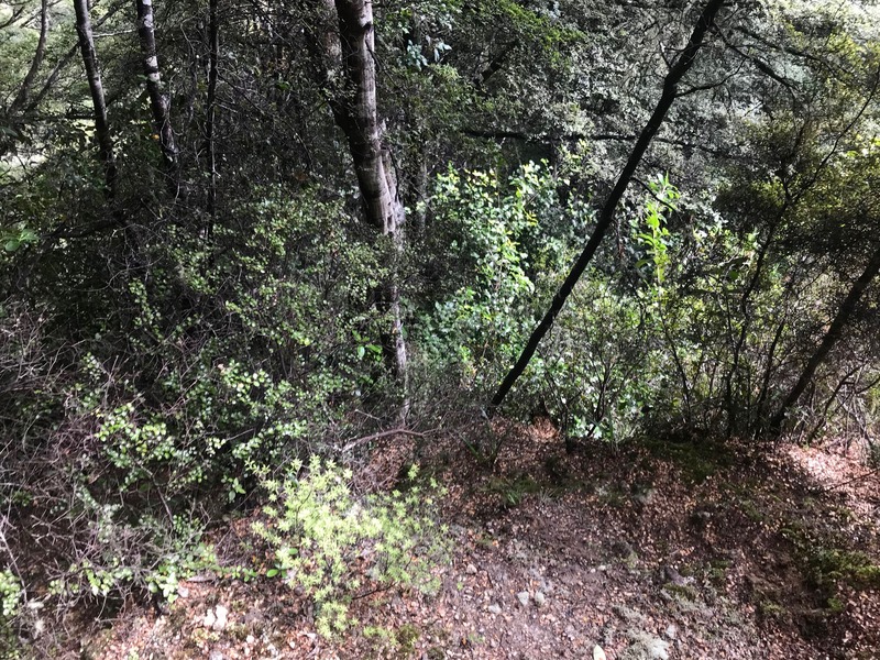 The confluence point lies down this steep bank