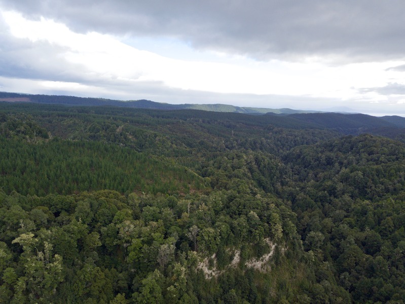 View West from about 100 m above the point.  Lake Taupo is visible in the centre-right of the image