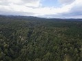 #8: View South from about 100 m above the point