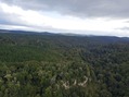 #9: View West from about 100 m above the point.  Lake Taupo is visible in the centre-right of the image