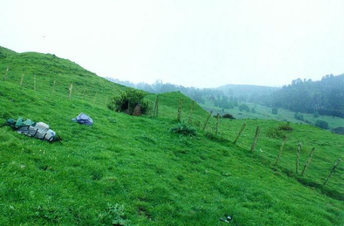 Looking across the confluence site