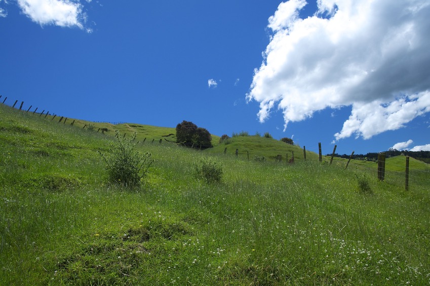 View North (up the steep slope)