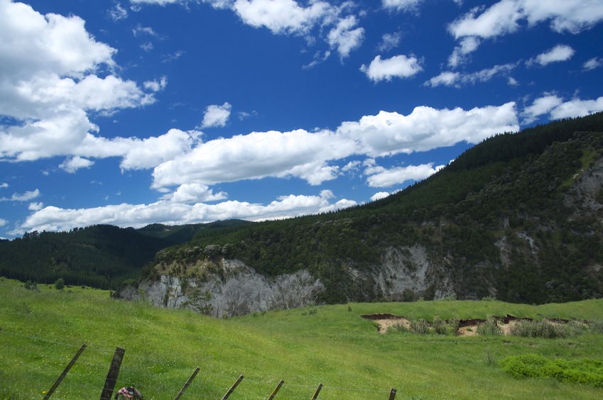 View East (towards the Mohaka River - not visible here)