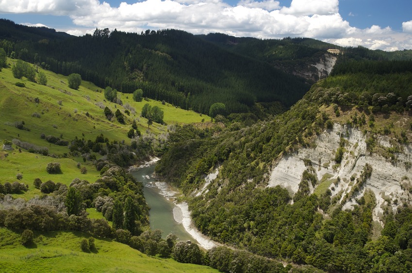 A view of the Mohaka River from 160 m northeast of the confluence point 