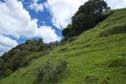 #2: View West (along the steep slope, towards a stand of Manuka/Kanuka)