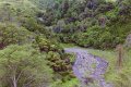 #2: On the way to the confluence you move along and cross the Horopito Stream.