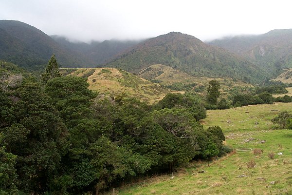 East towards the Ruahine Ranges