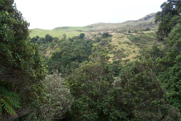 North across the Horopito River followed by Bob Jordan