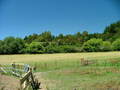 #3: View to north