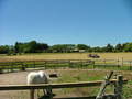 #5: View to south