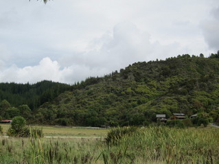 #1: View looking southwest towards the confluence point in the bush