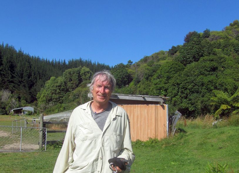 Looking west, with the confluence 33 m up the hill; elated return to open pasture